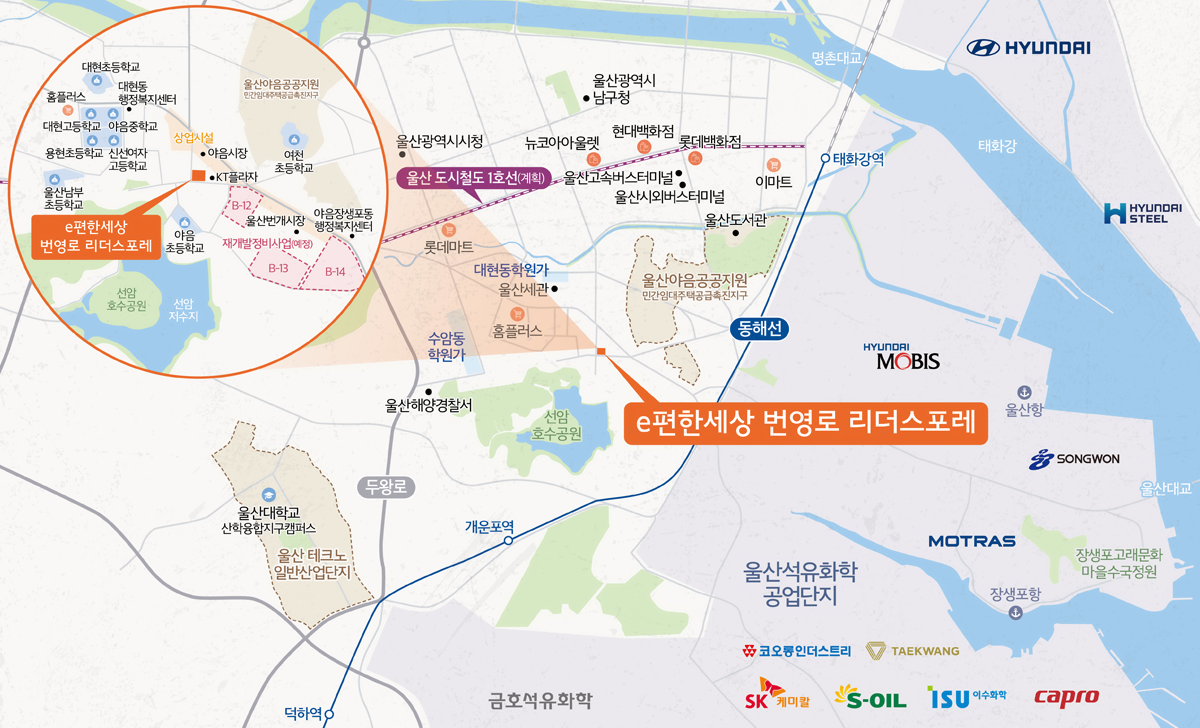 ulsan_elife (1).png